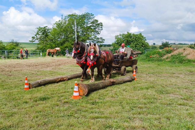 Pavol Kitaš - štart furmanského slalomu